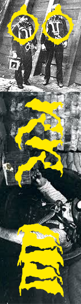 a canary